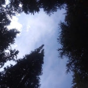 Meet your Posher, Creator-chan